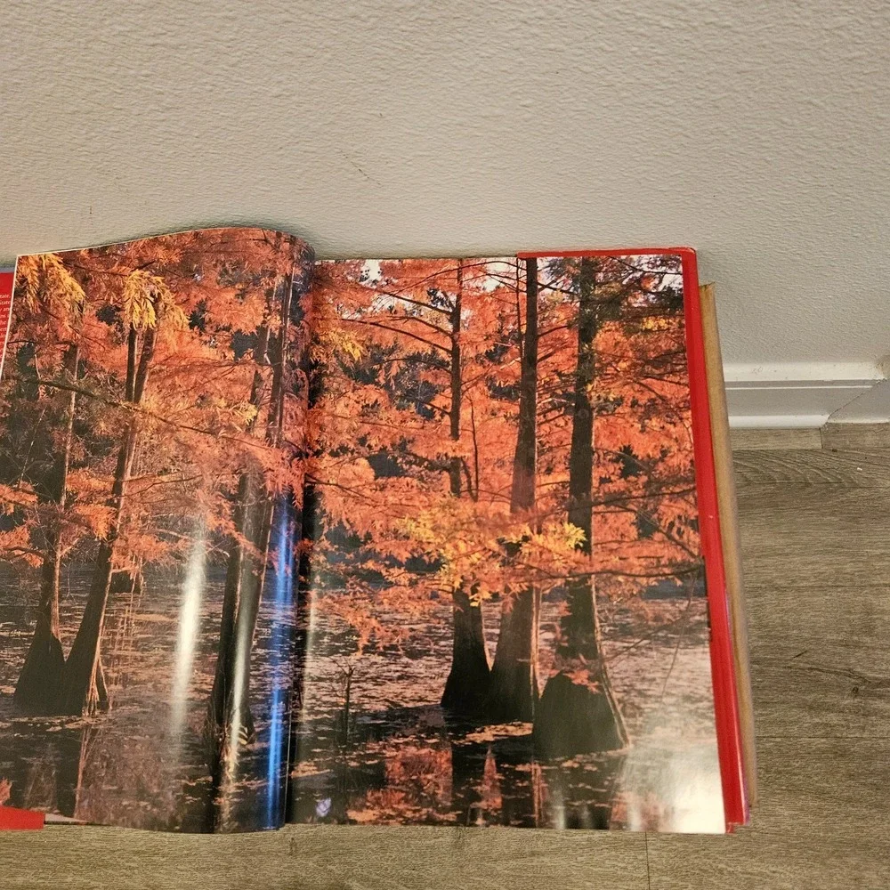 Texas the Beautiful Cookbook - Hardcover By Swendson, Patsy  Authentic Recipes
